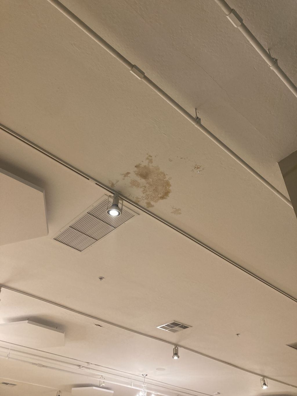 Commercial restroom: water-damaged ceiling